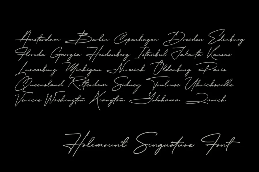 Holimount Font Family preview 11