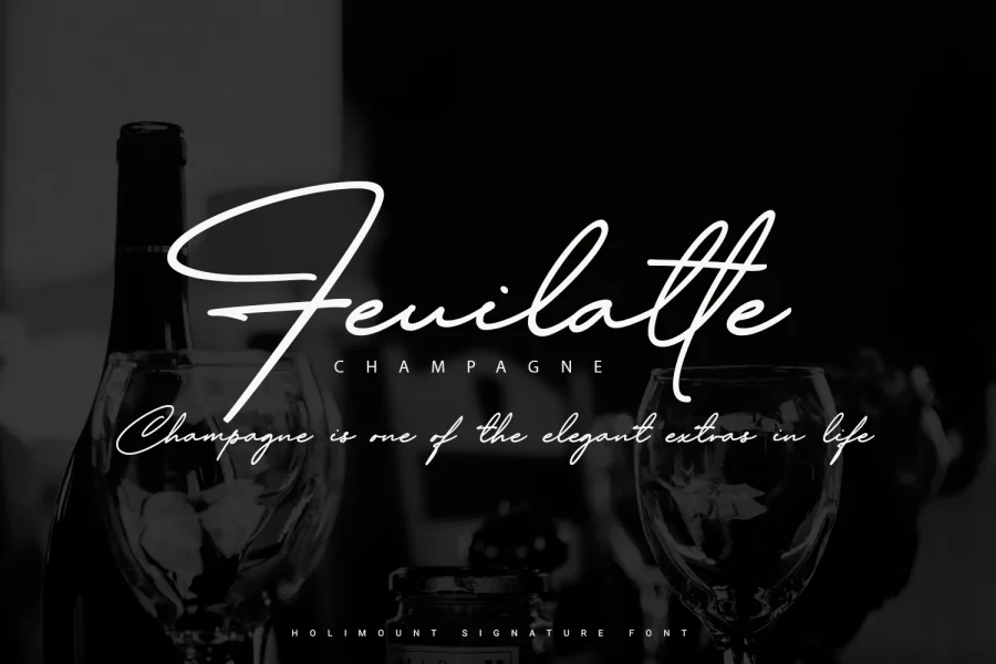 Holimount Font Family preview 8