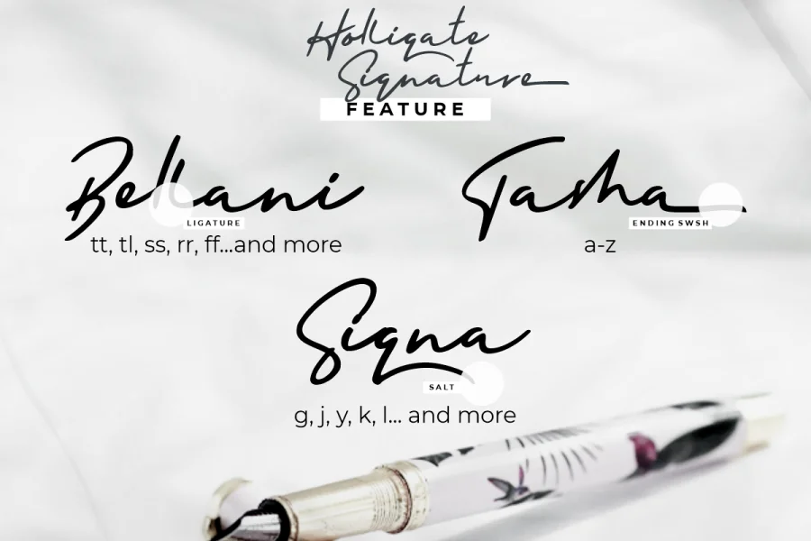 Holligate Signature Demo Font preview 12