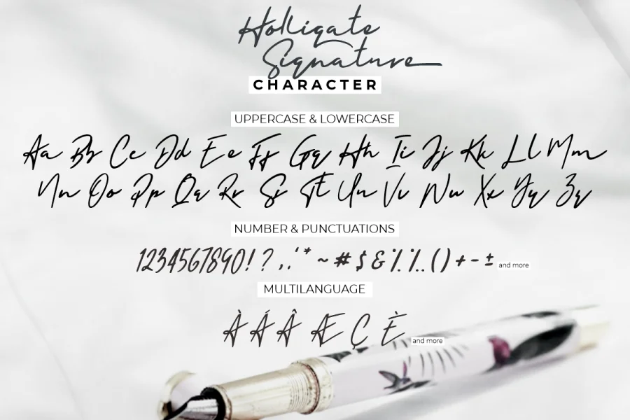 Holligate Signature Demo Font preview 8