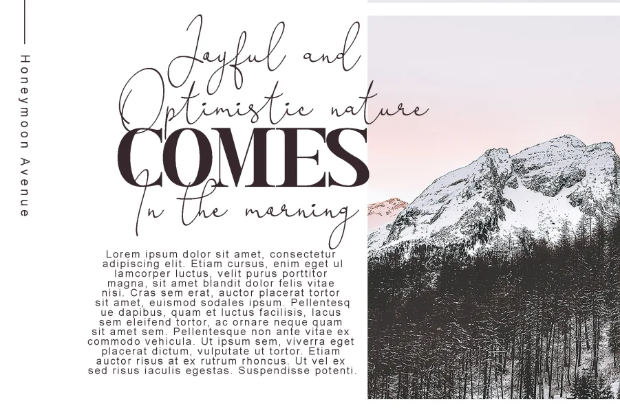 Honeymoon Avenue Serif Font preview 4