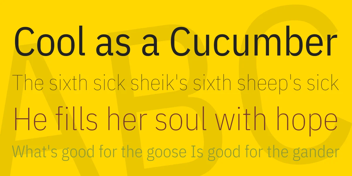IBM Plex Sans Condensed Font Family preview 2