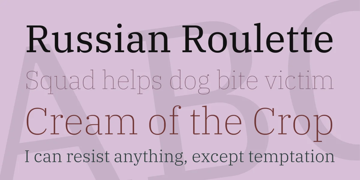 IBM Plex Serif Font Family preview 2
