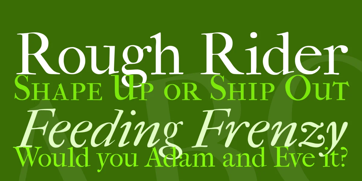 IM FELL French Canon Font Family preview 2