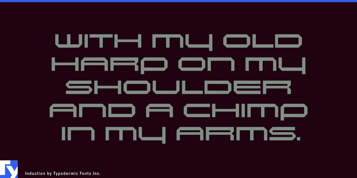 Induction Font preview 3