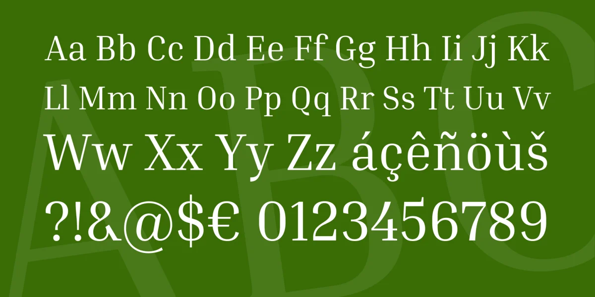 Inria Serif Font Family preview 8