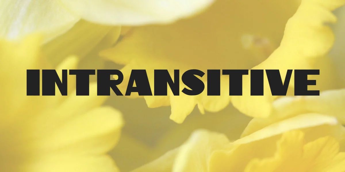 Intransitive Font Family