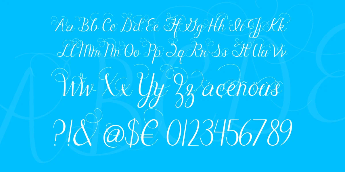 Janda Celebration Script Font preview 2