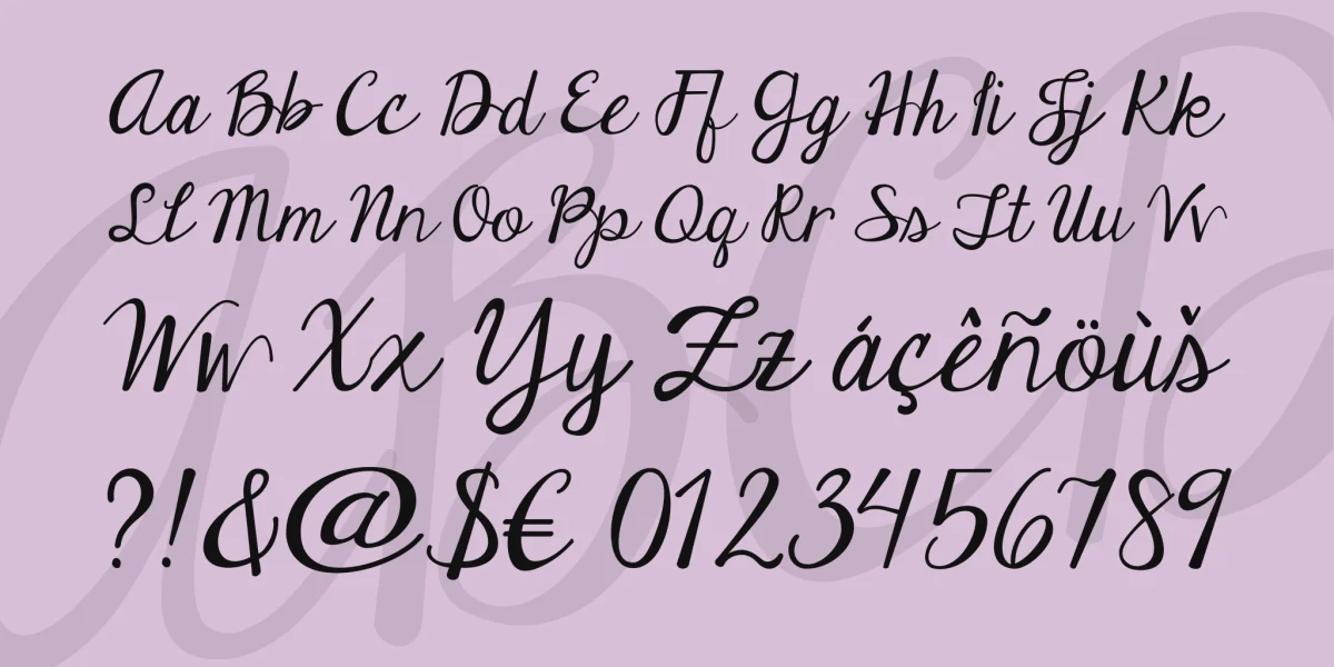 Janda Elegant Handwriting Font preview 4