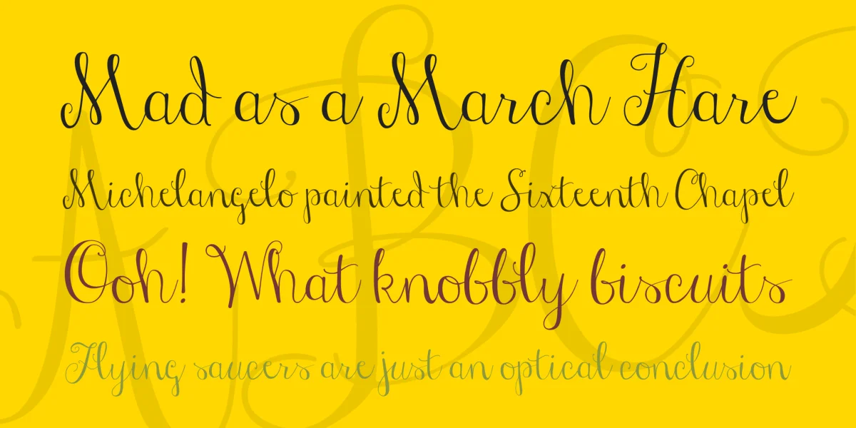 Janda Stylish Script Font preview 2