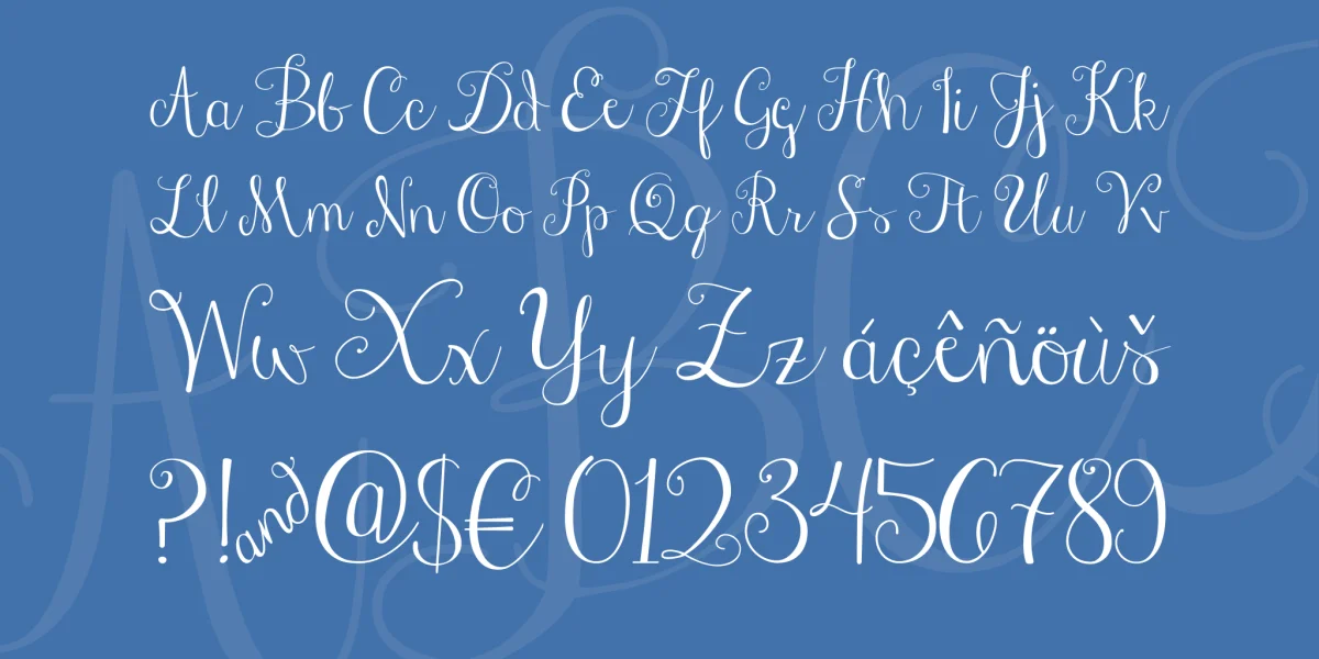 Janda Stylish Script Font preview 3