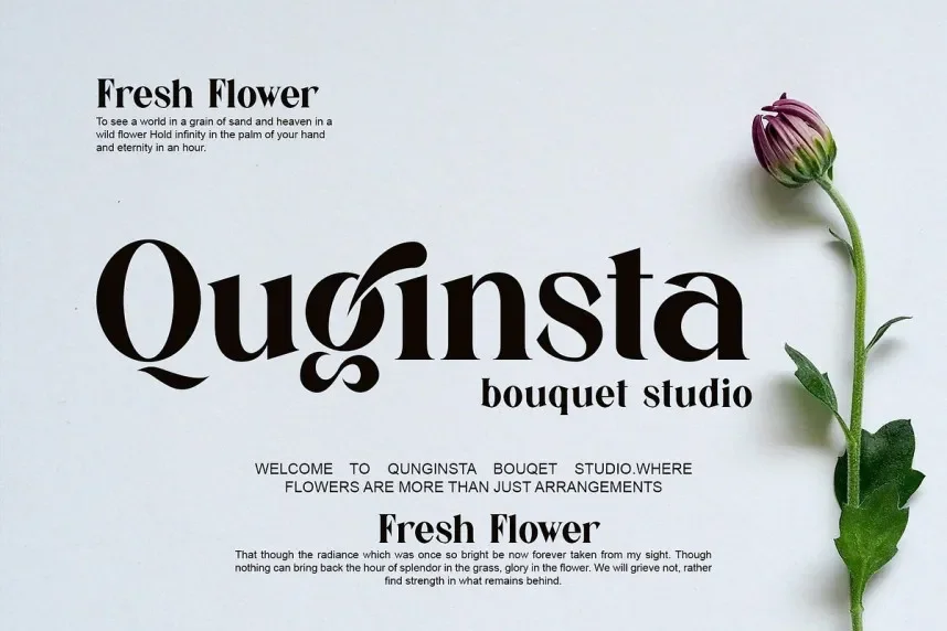 Jegan Serif Font preview 3