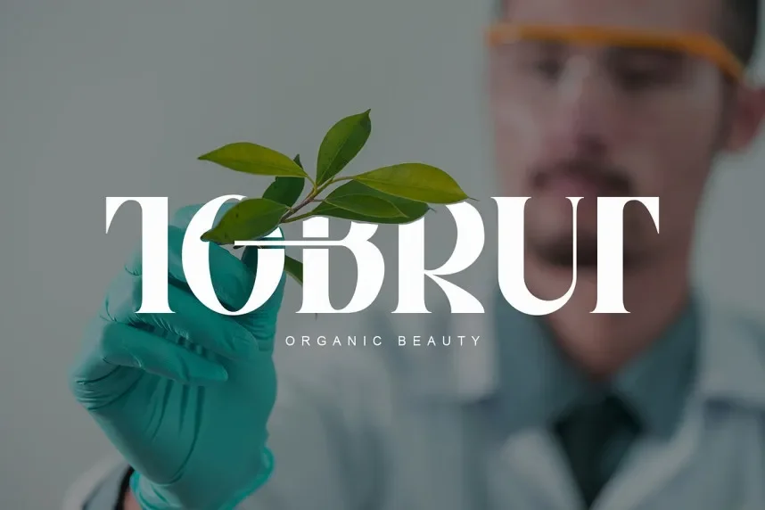 Jegan Serif Font preview 5