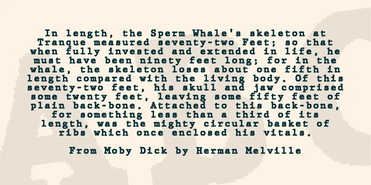 JMH Typewriter mono Font Family preview 3