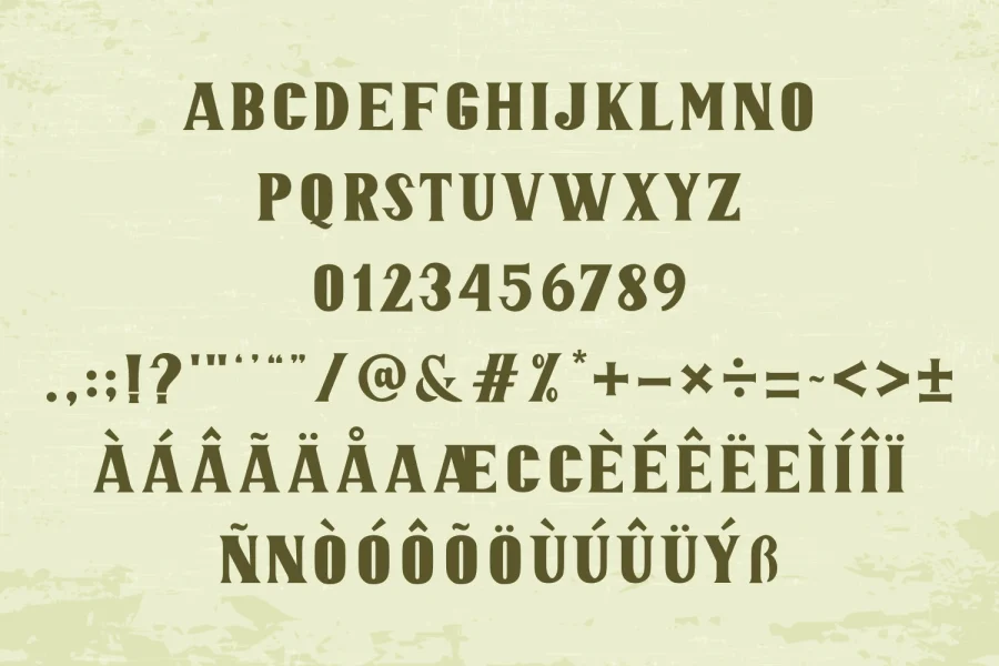 JOAQUIN Font Family preview 10