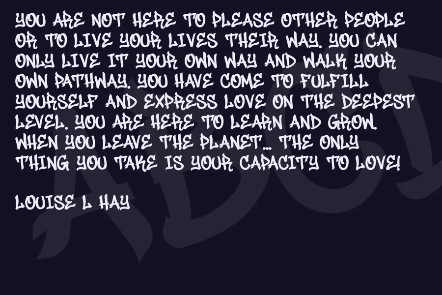 Junky Style Font Family preview 9