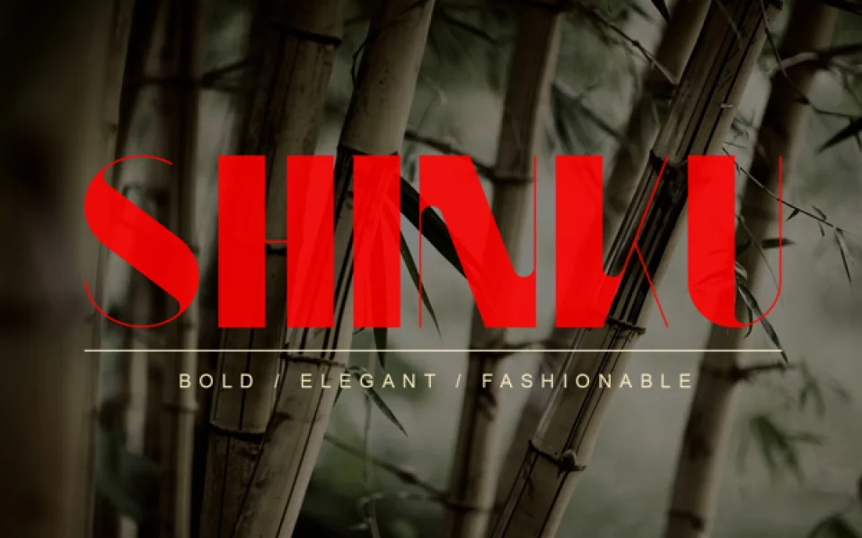 Kaiju Font Family preview 4