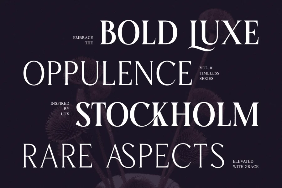 Karena Serif Font preview 4