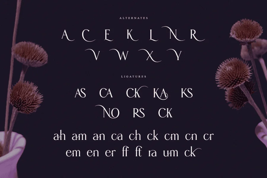 Karena Serif Font preview 8
