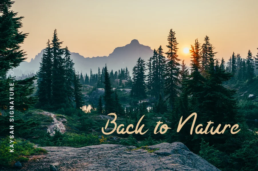 Kaysan Signature Font preview 2