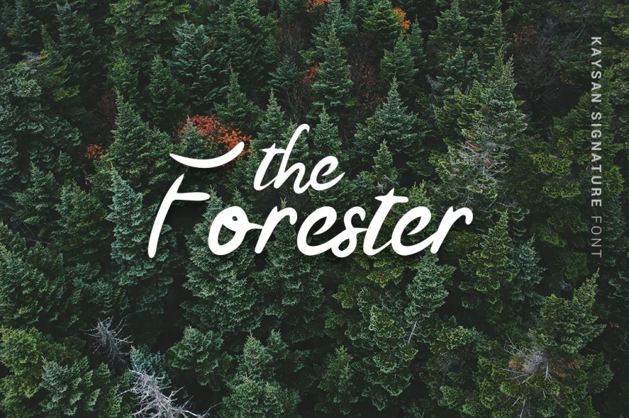 Kaysan Signature Font preview 3