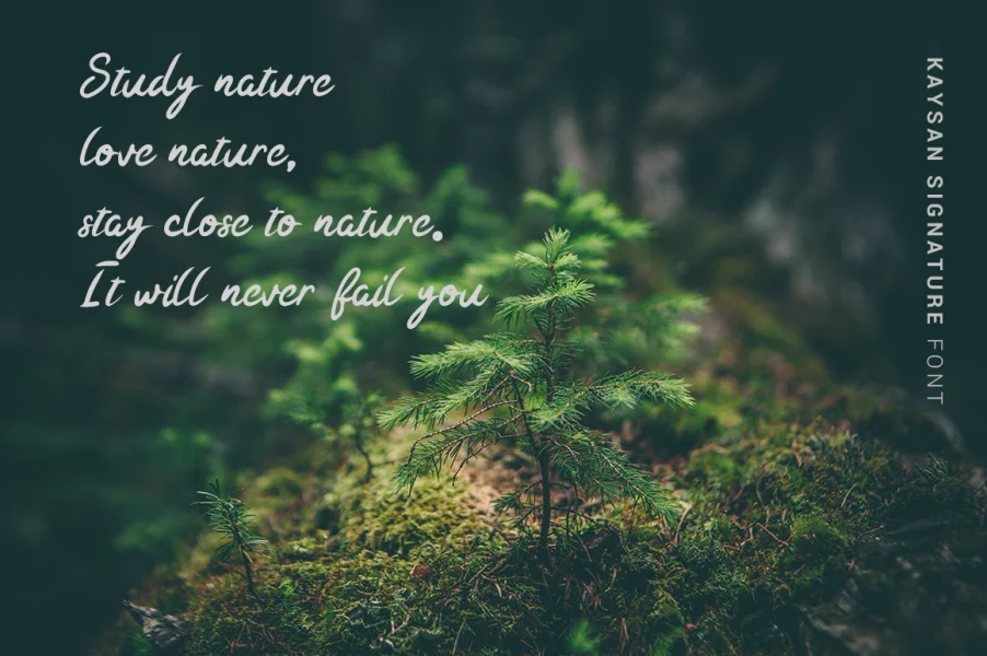 Kaysan Signature Font preview 4