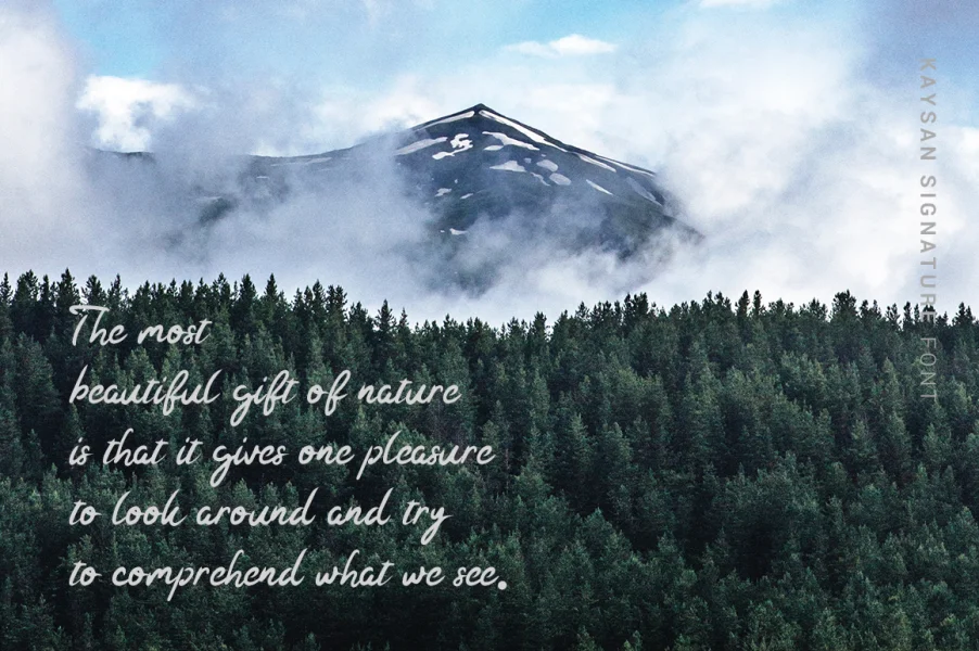 Kaysan Signature Font preview 5