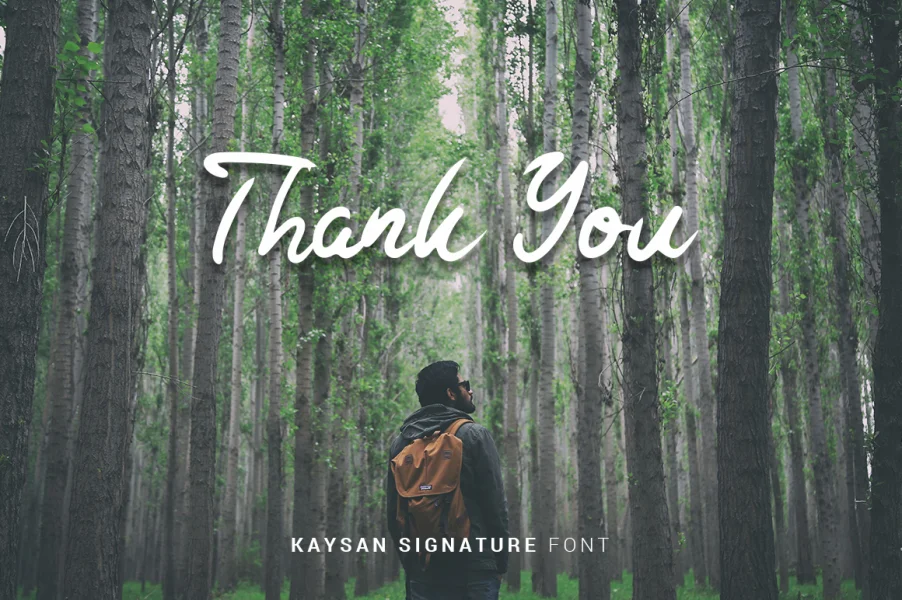 Kaysan Signature Font preview 8