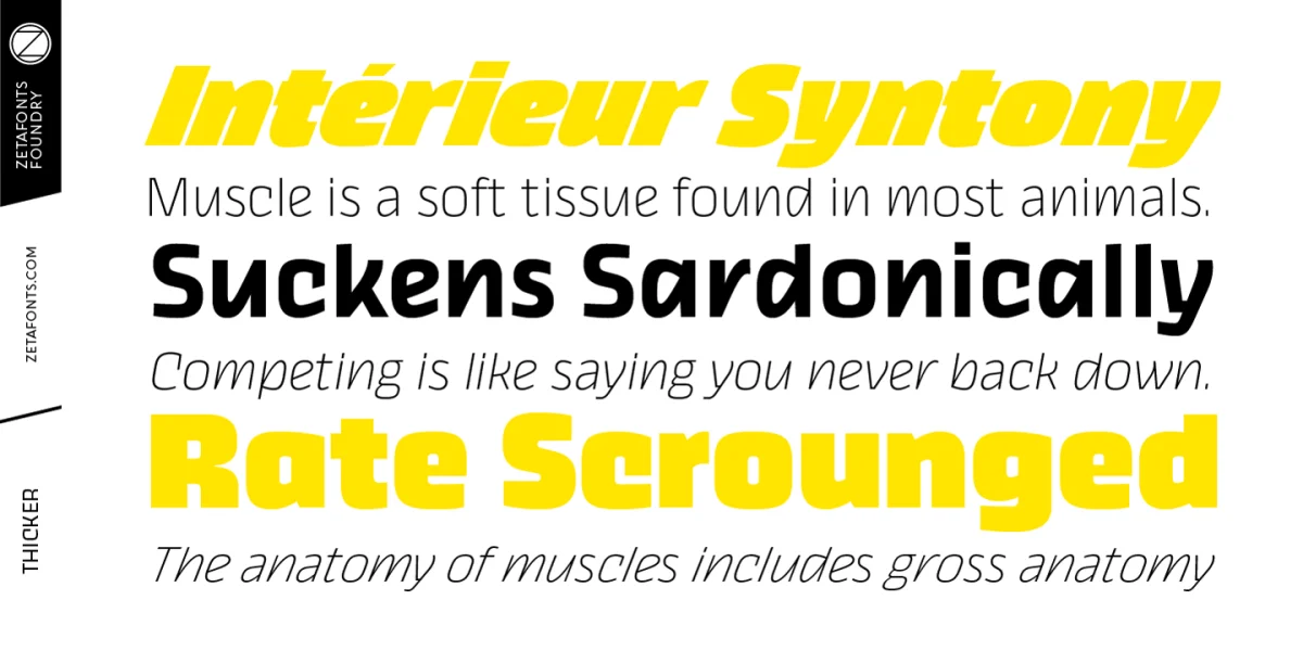 Thicker Trial Font Family preview 6