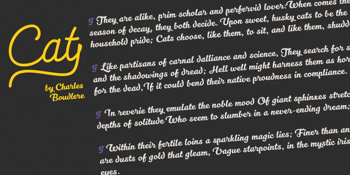 Kitten Font Family preview 3