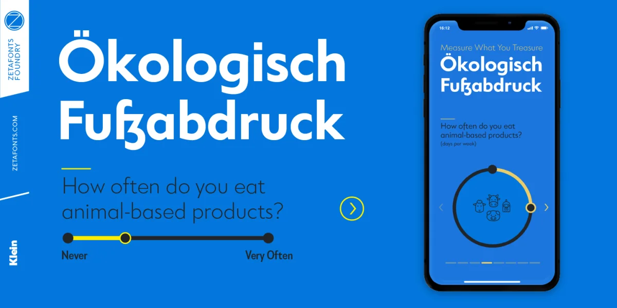 Klein Font Family preview 5