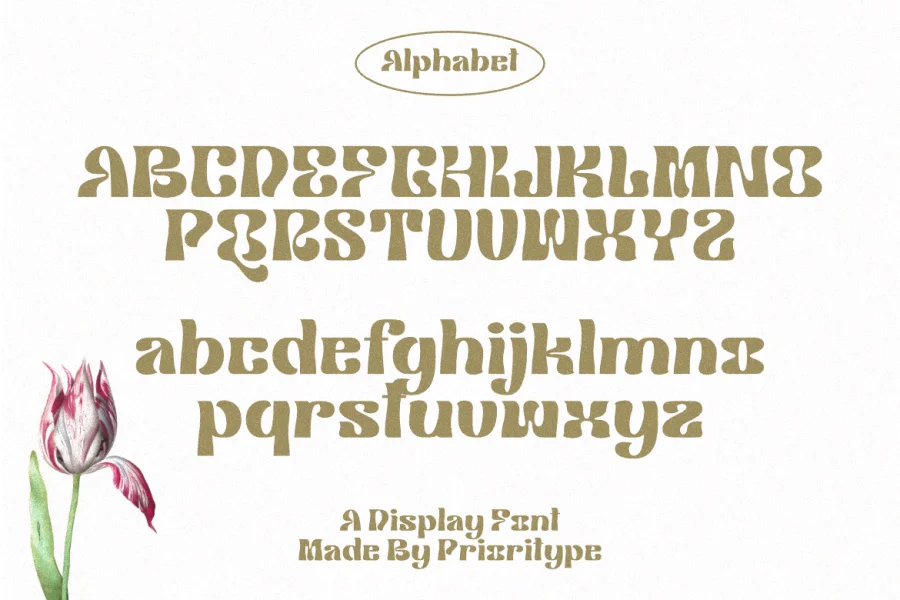 Klemer Display DEMO Font preview 8