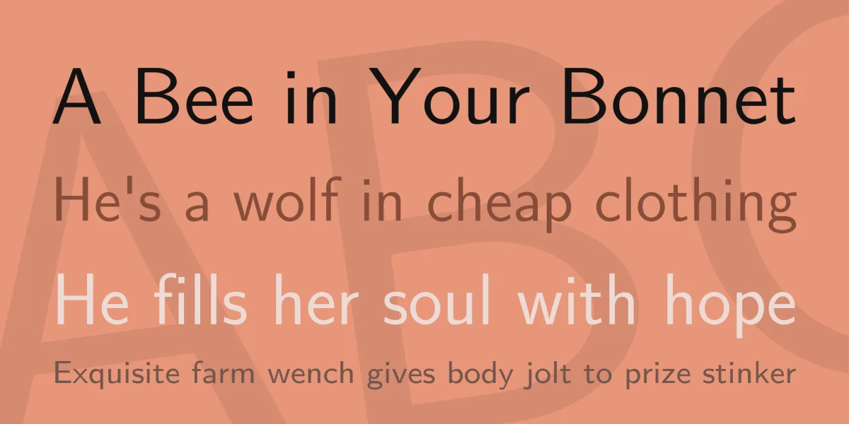 Latin Modern Sans Font Family preview 2