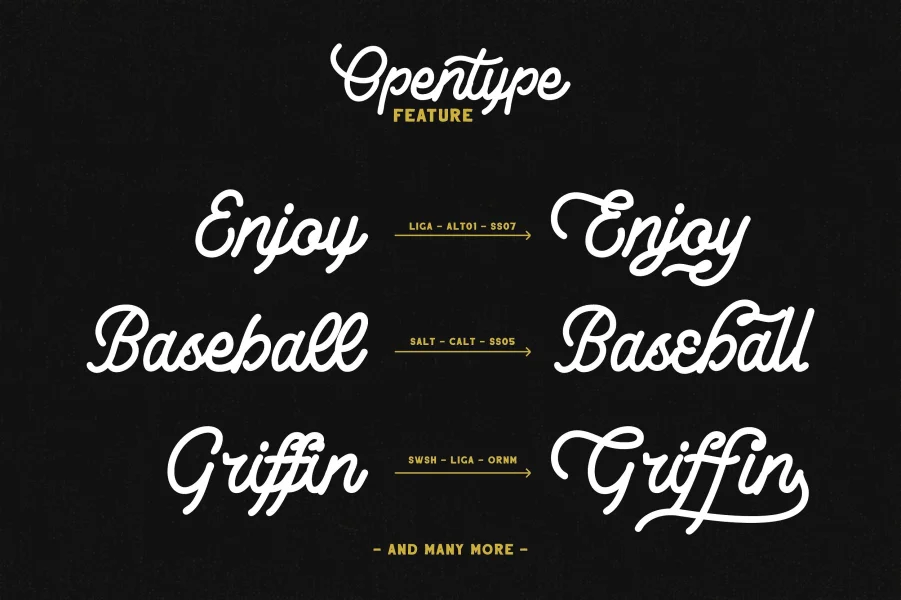 LesleyDemo Font preview 5