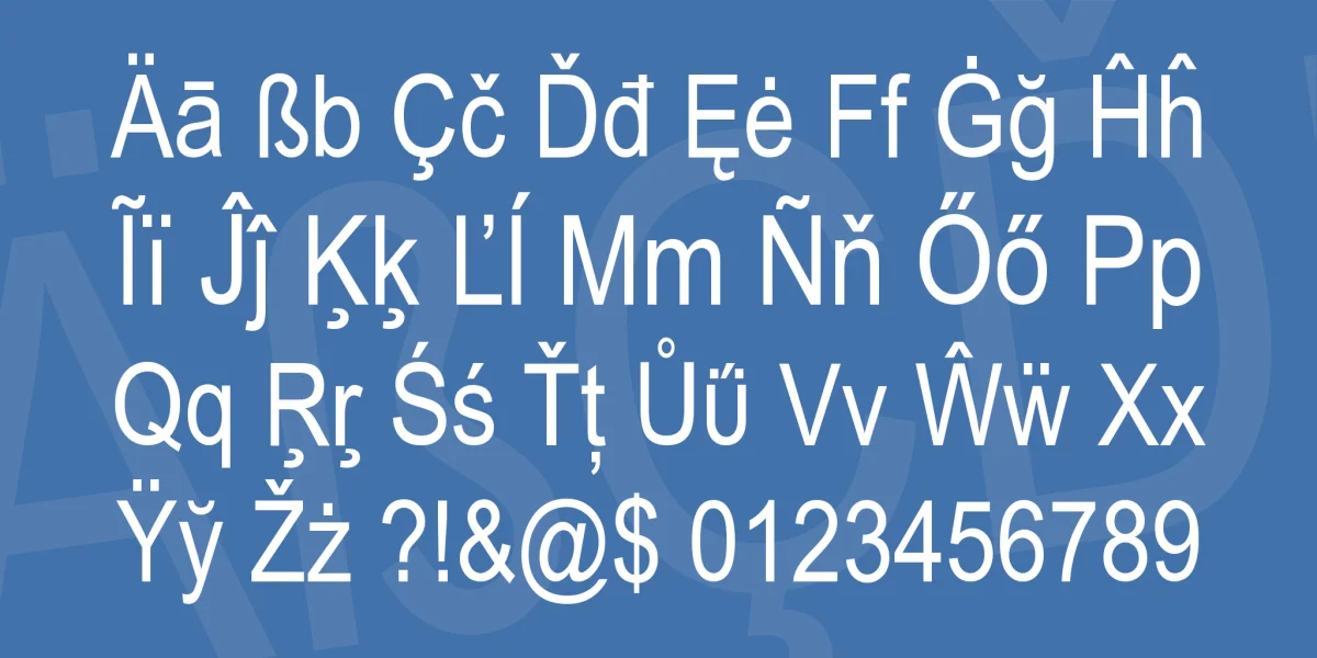 Linguine Linguist Font preview 3