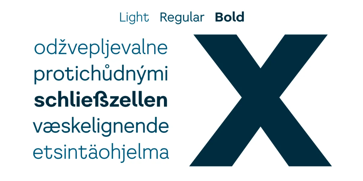 Literal Font Family preview 3