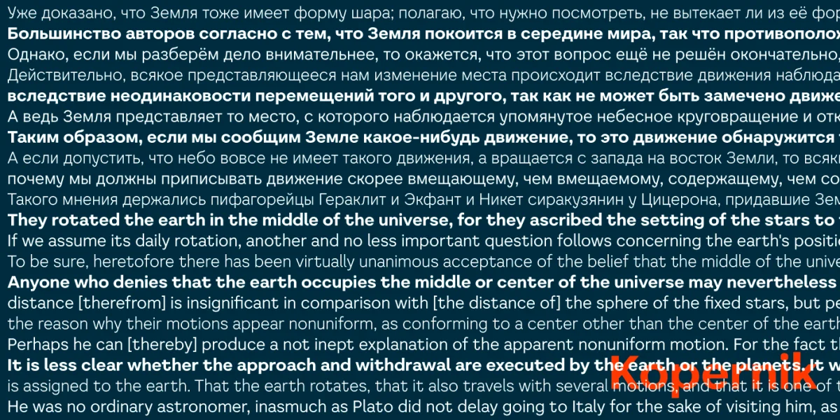 Literal Font Family preview 5