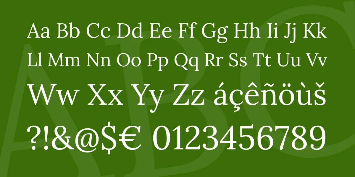 Lora Font Family preview 4