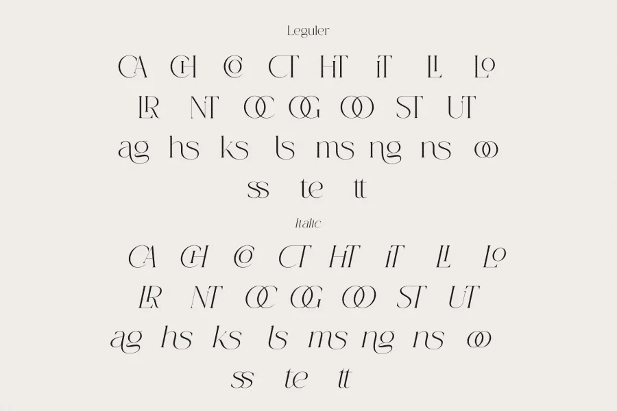 Lyte Serif Font Family preview 10
