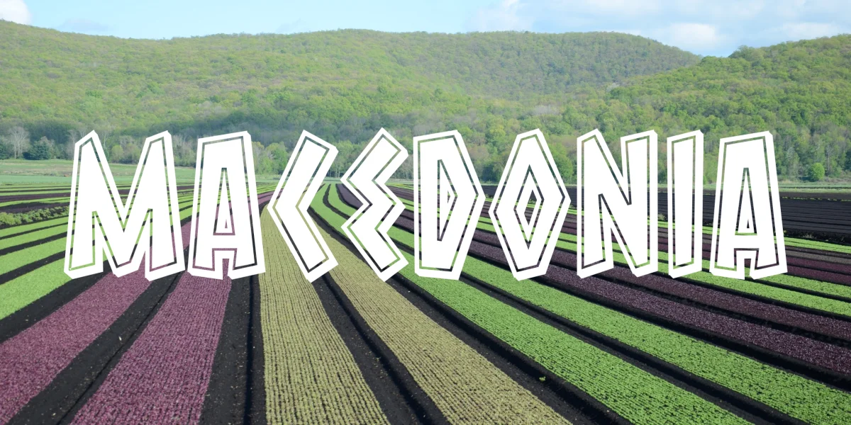 Macedonia Font Family