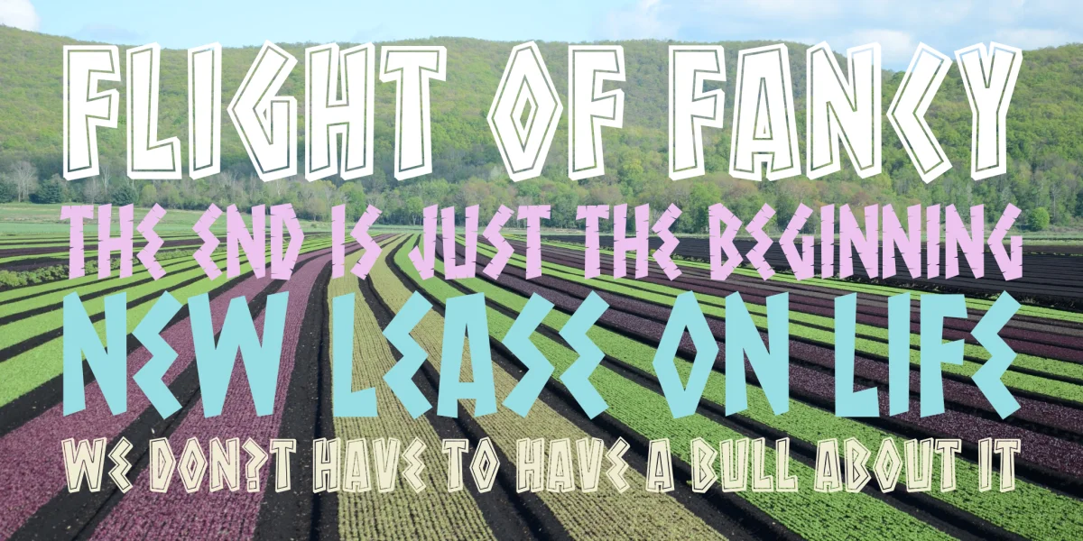 Macedonia Font Family preview 2