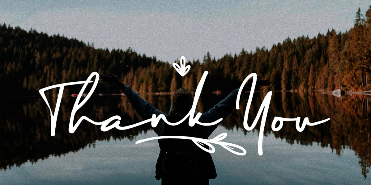 Maddison Signature DEMO Font preview 14