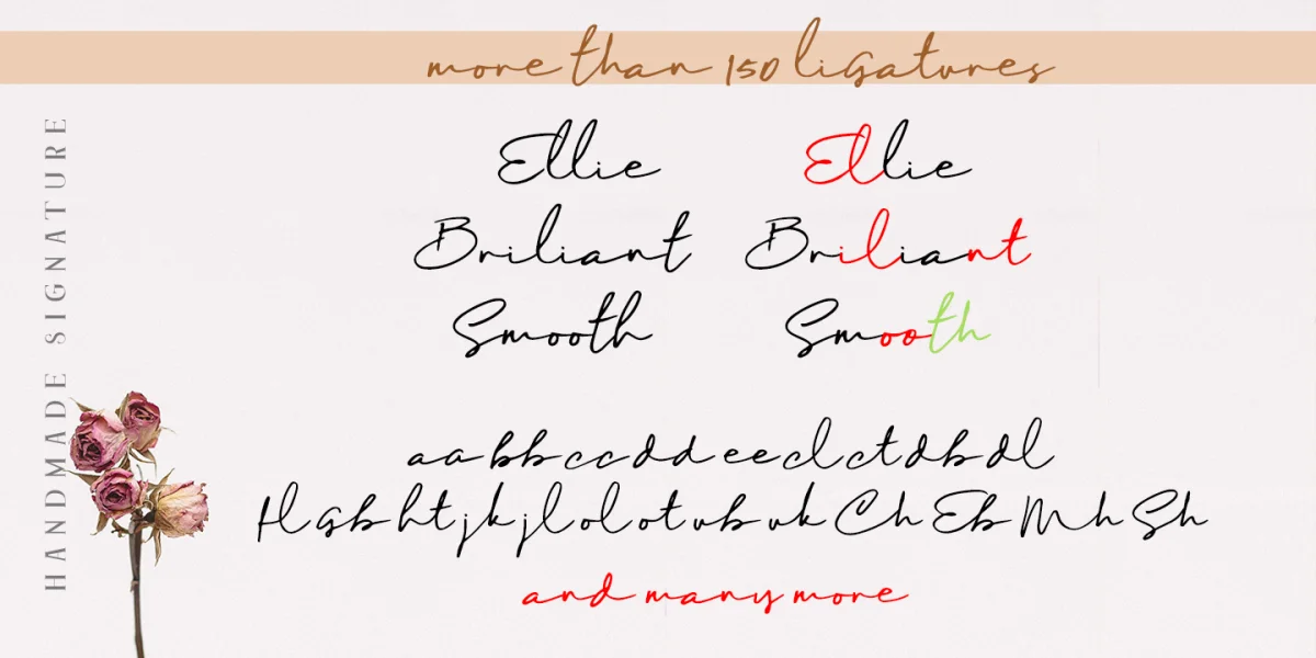 Maddison Signature DEMO Font preview 3
