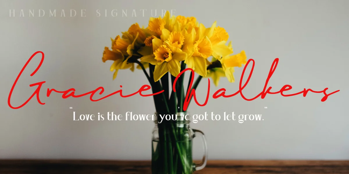 Maddison Signature DEMO Font preview 8