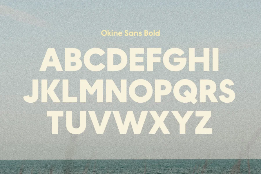 MADE Okine Sans PERSONAL USE Font Family preview 5