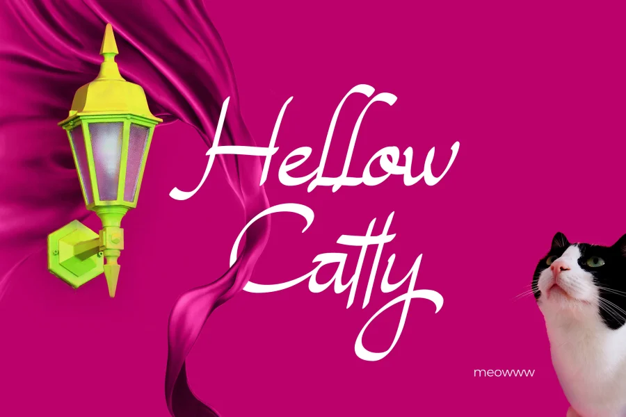Magenta Rose Font preview 3