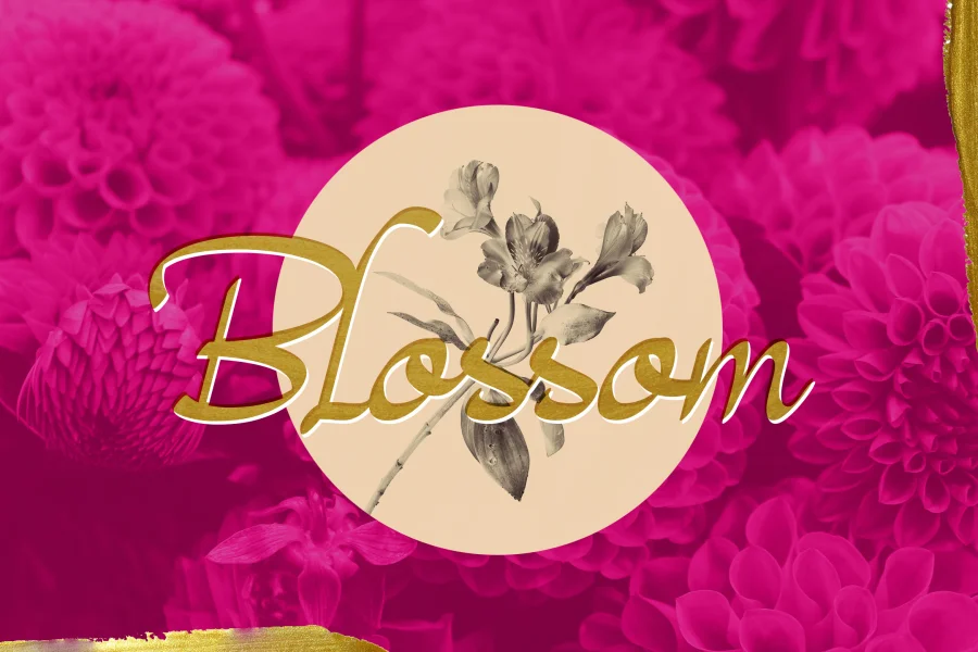 Magenta Rose Font preview 5