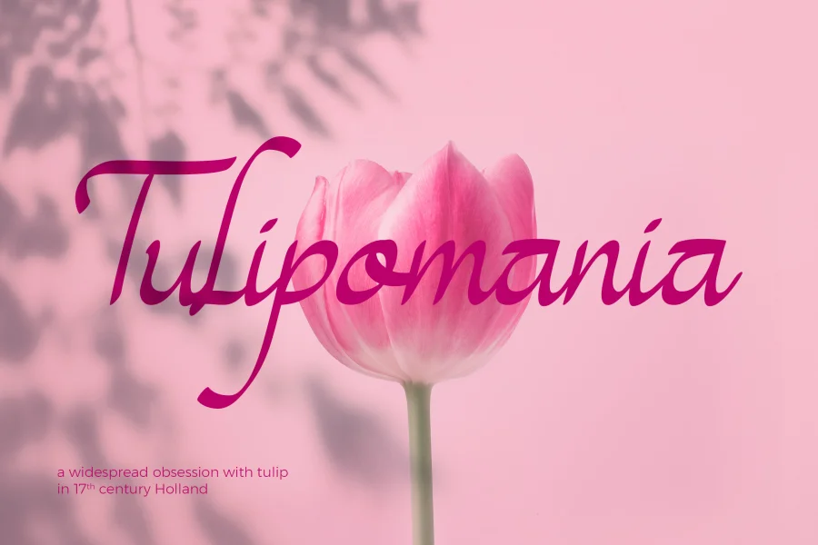 Magenta Rose Font preview 6