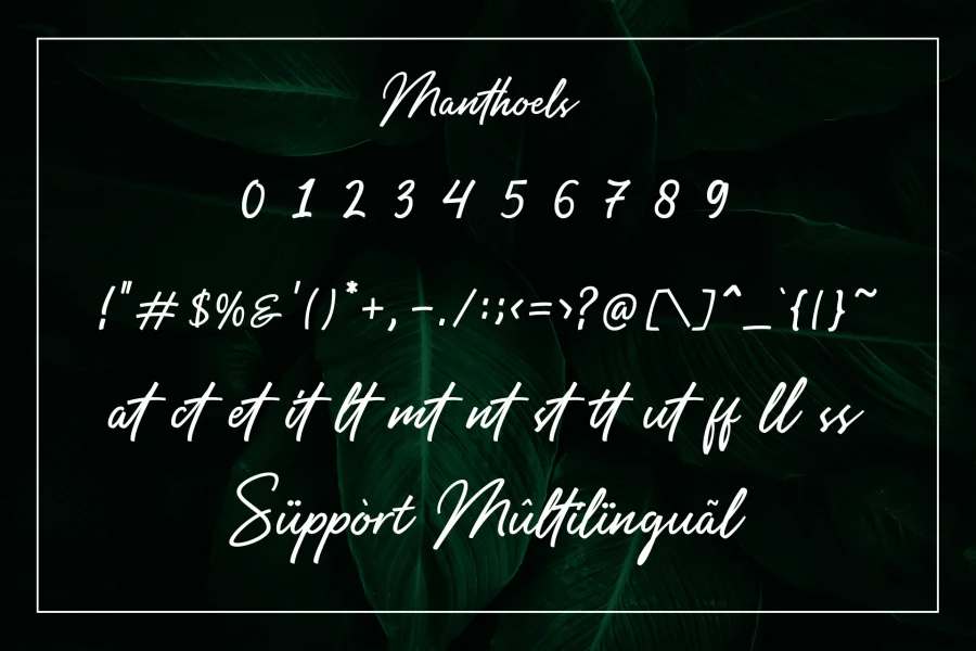 Manthoels Font preview 10