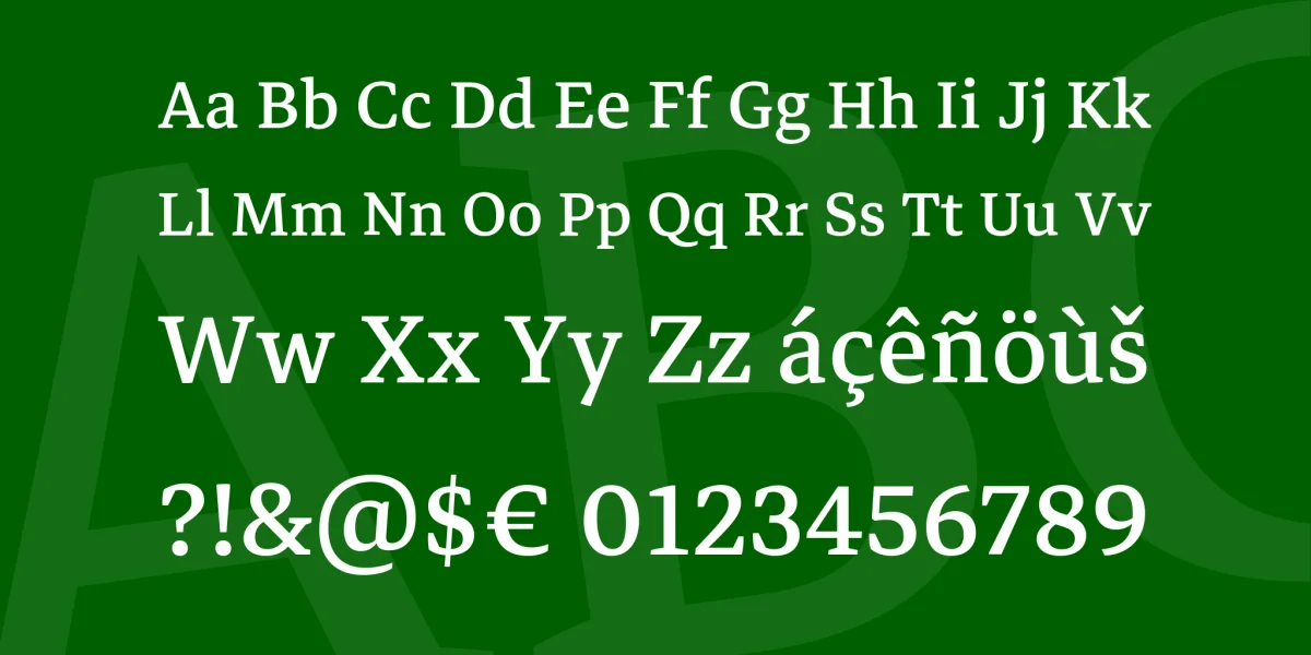 Markazi Text Font Family preview 4